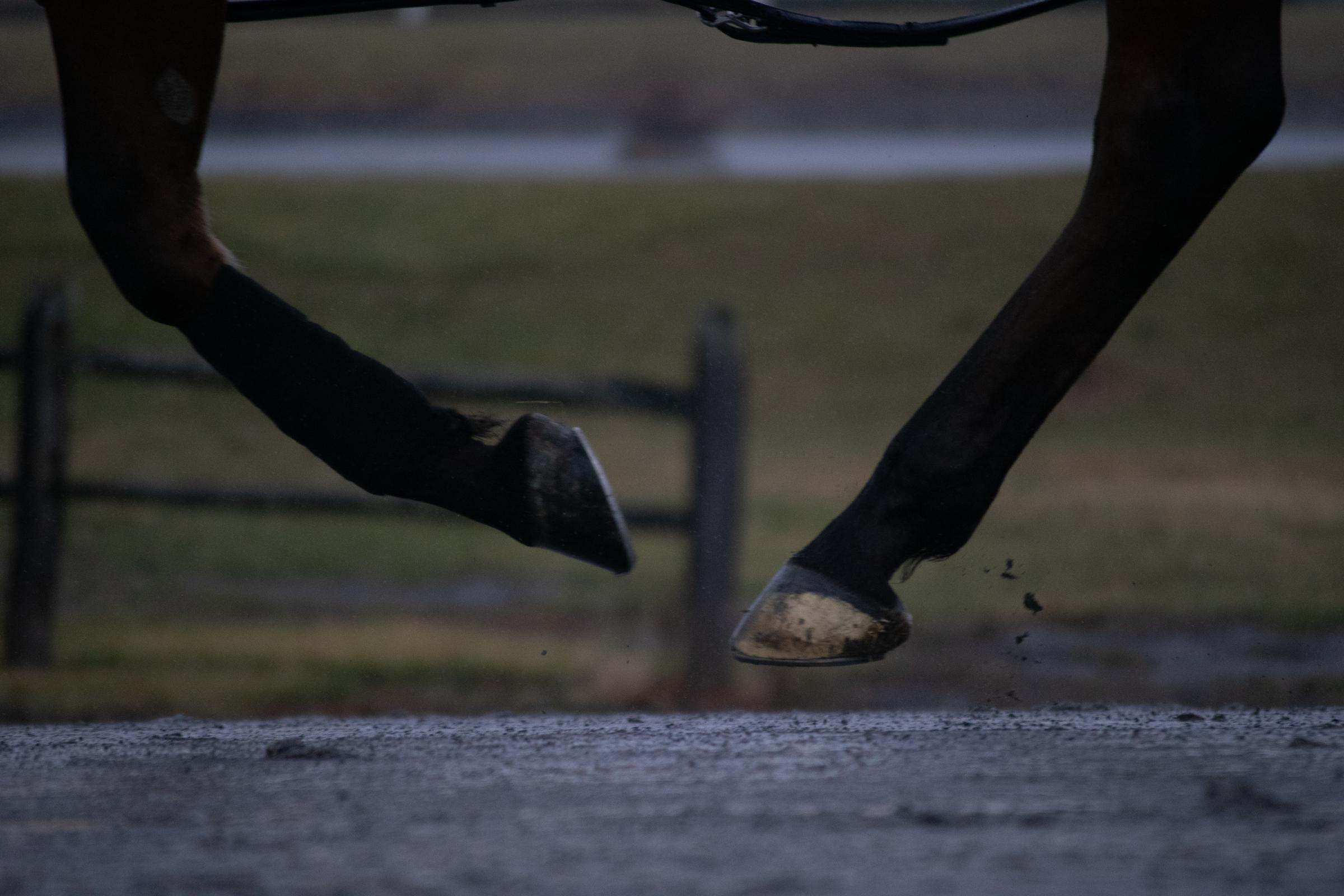 Horse Racing -  Horses compete in the last day of harness racing at the...