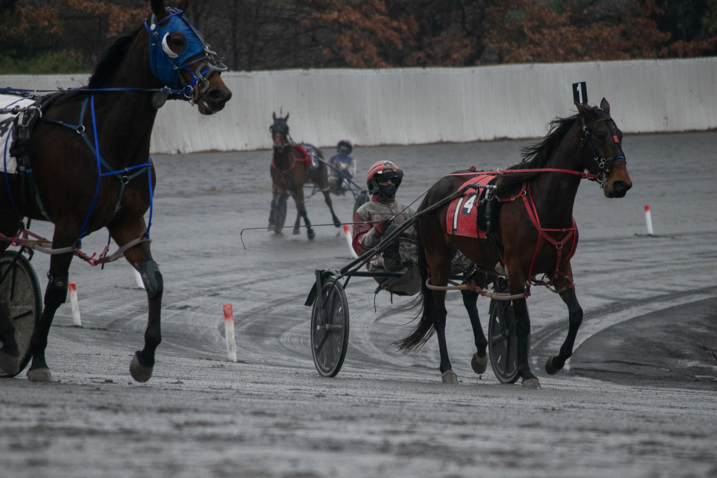Horse Racing -  Horses compete in the last day of harness racing at the...