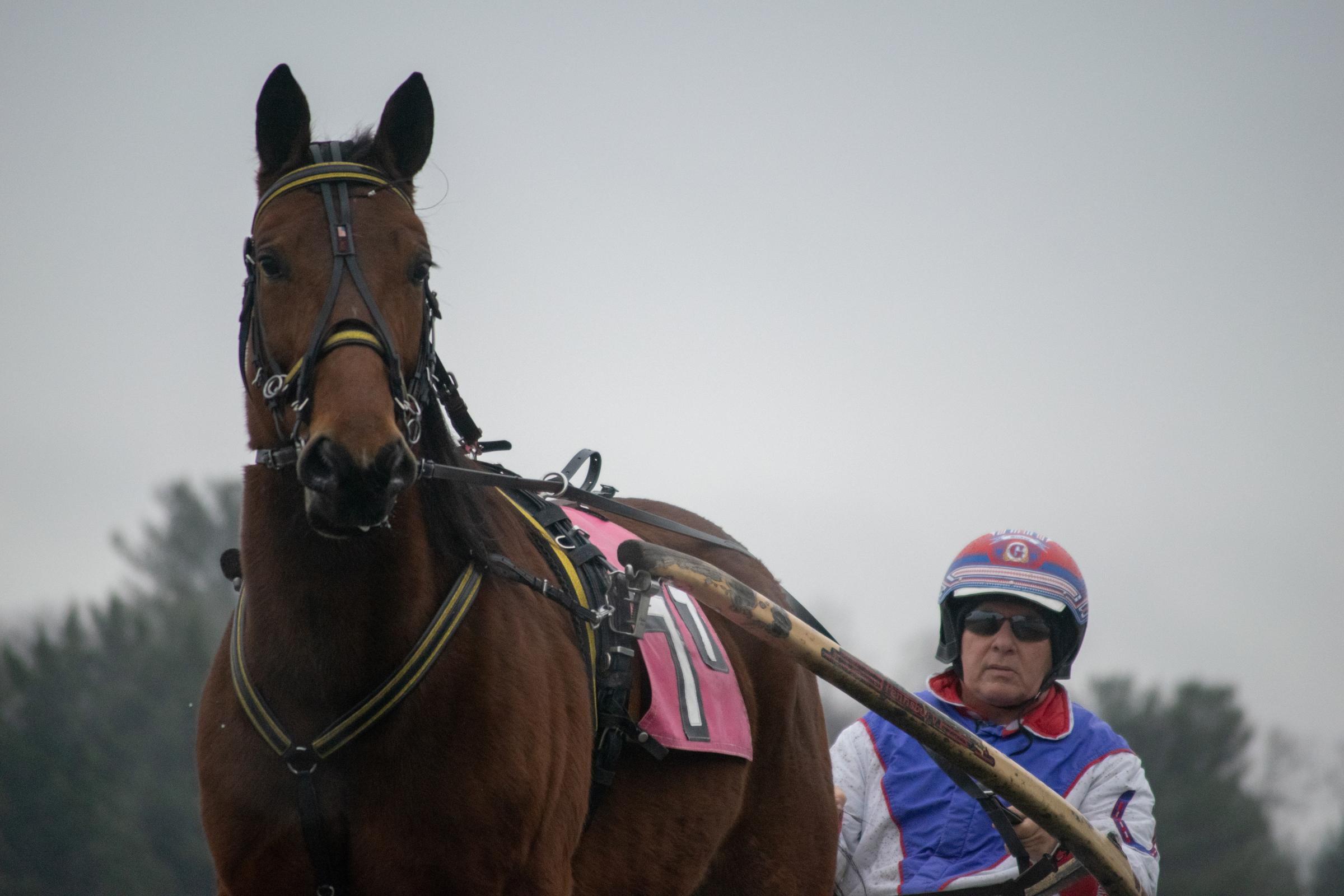 Horse Racing -  Horses compete in the last day of harness racing at the...