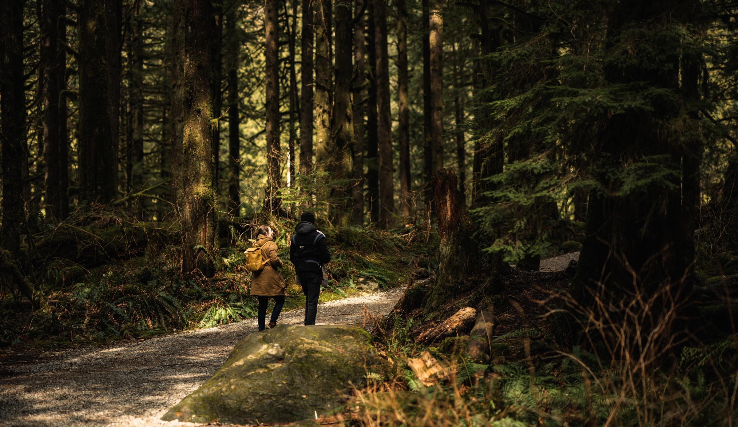 Golden Ears Provincial Park by Mark Spowart