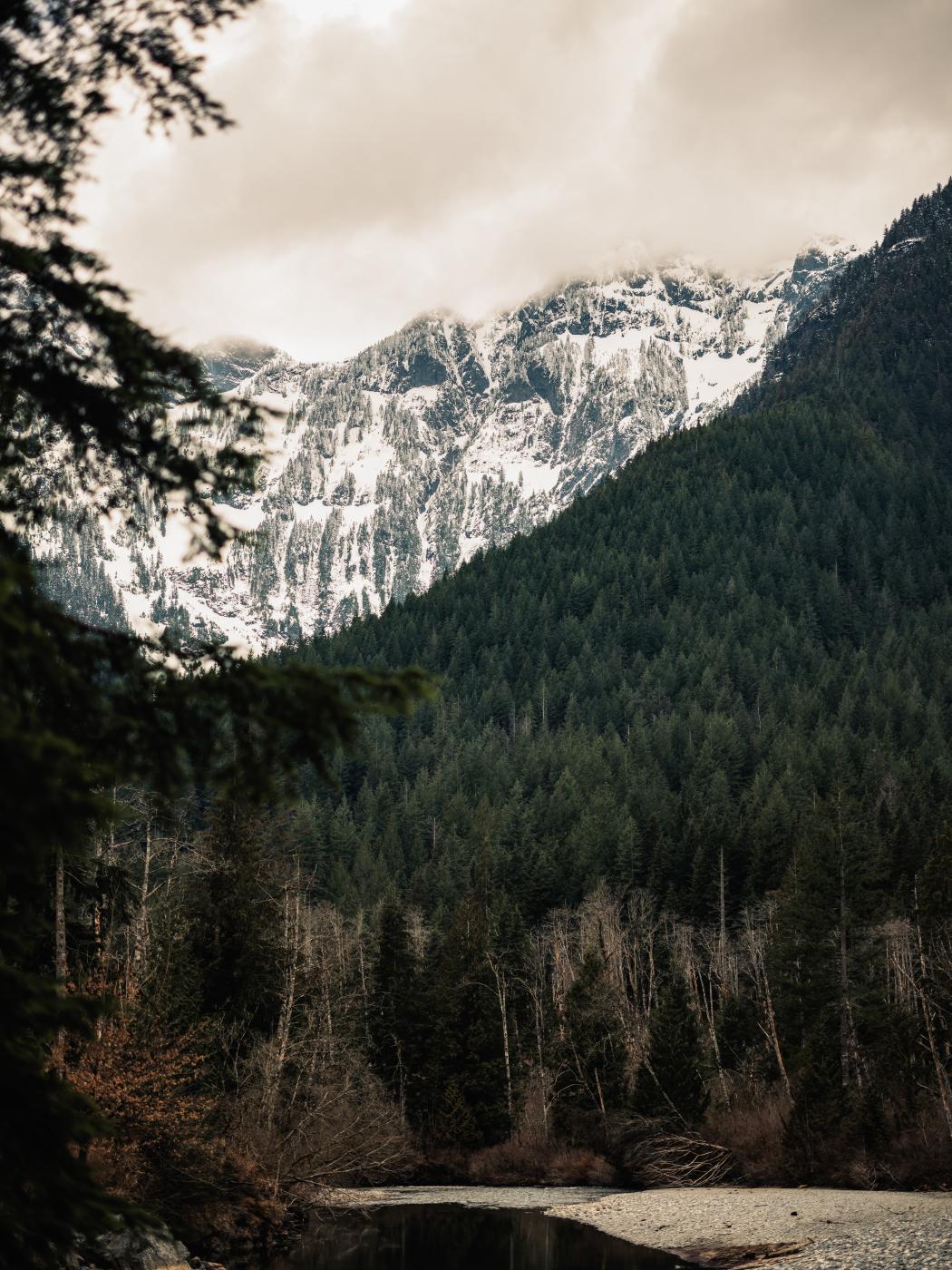 Golden Ears Provincial Park by Mark Spowart