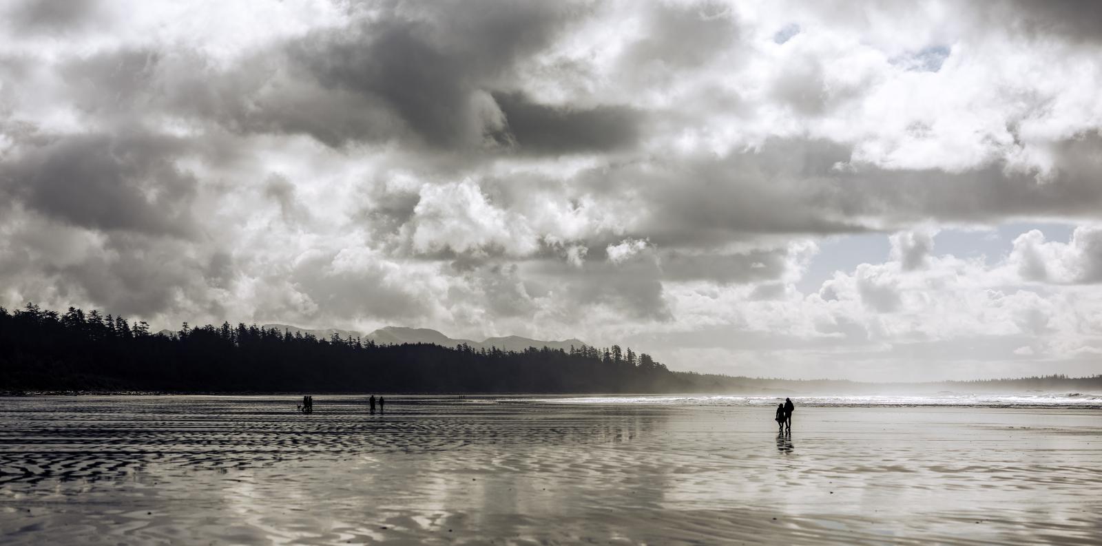 Pacific Rim National Park by Mark Spowart