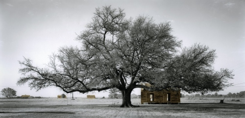 Image from  Slave Dwellings -   Slave Dwelling No.2: St James Parish,  Louisiana...