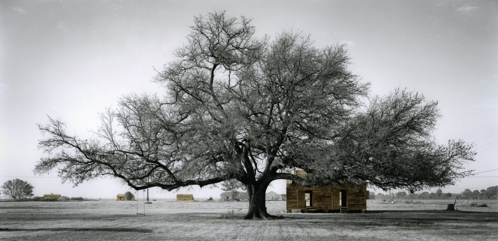  Slave Dwellings -   Slave Dwelling No.2: St James Parish,  Louisiana...