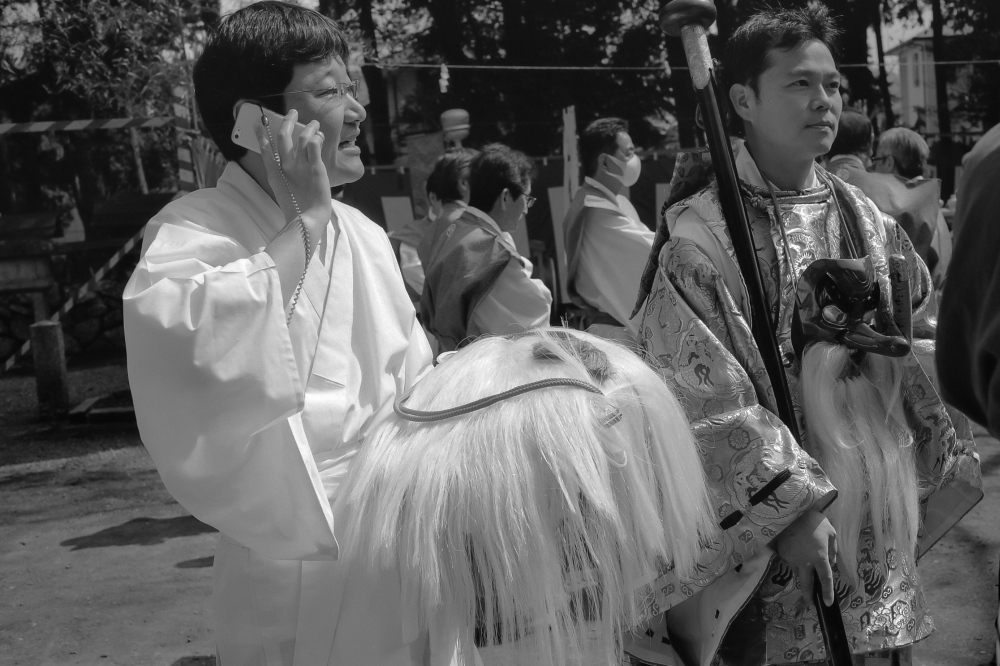 Japanese spring festival