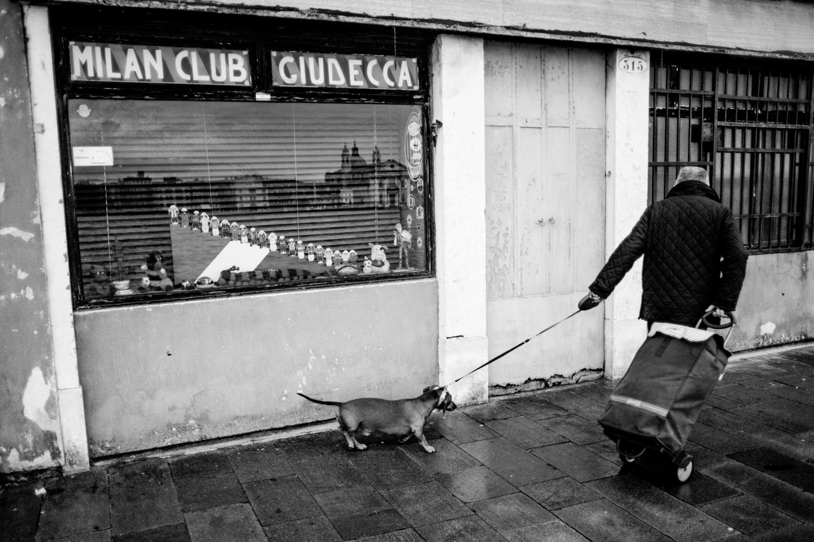 Man with his dog in Giudecca | Buy this image