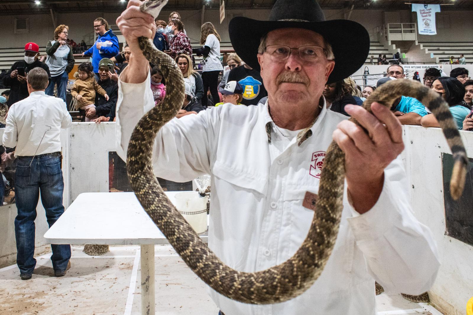 Rattlesnake Roundup