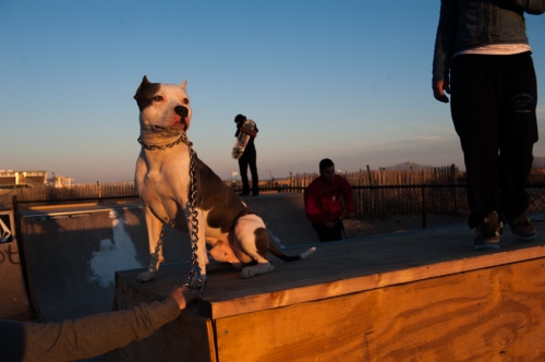 What Sandy Left Behind: Portrait of the Rockaways a Year After Landfall - ...