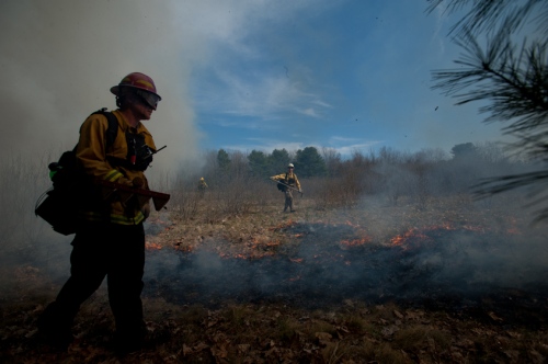 Image from Smokey Got It Wrong: Fighting Fire with Fire in New England -                 
                