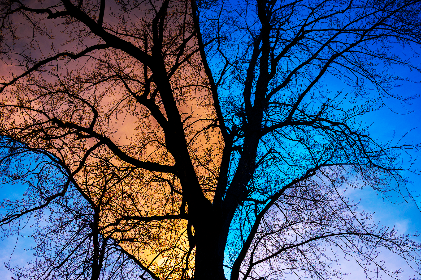Untitled, September 2024 | Buy this image