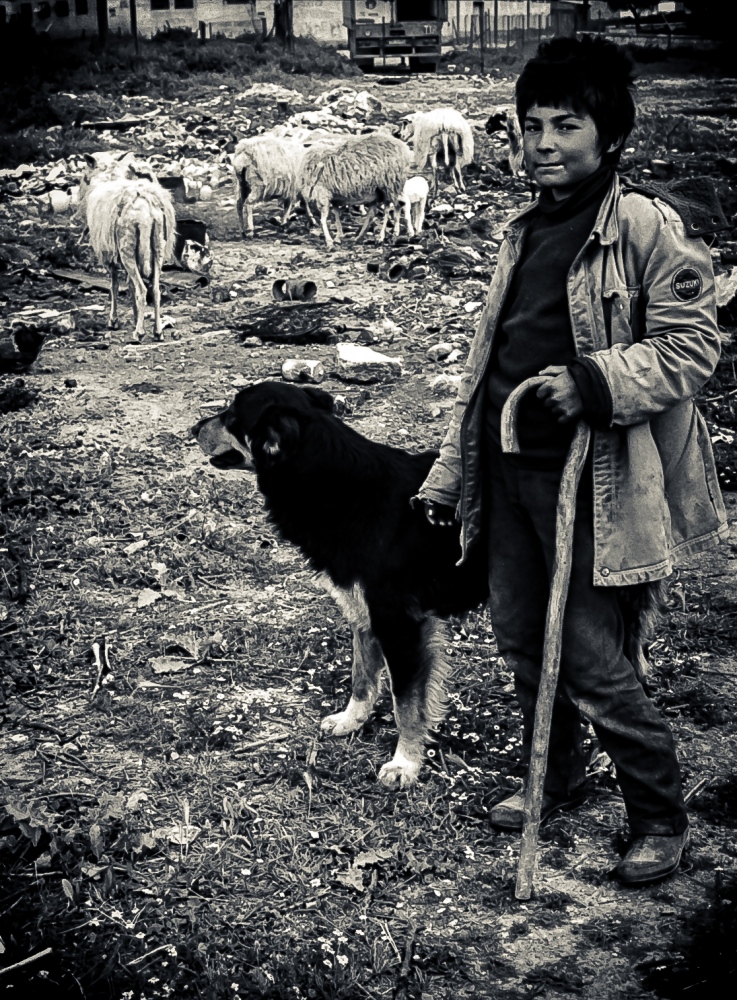 Art and Documentary Photography - Loading IMG_20151107_0007.jpg