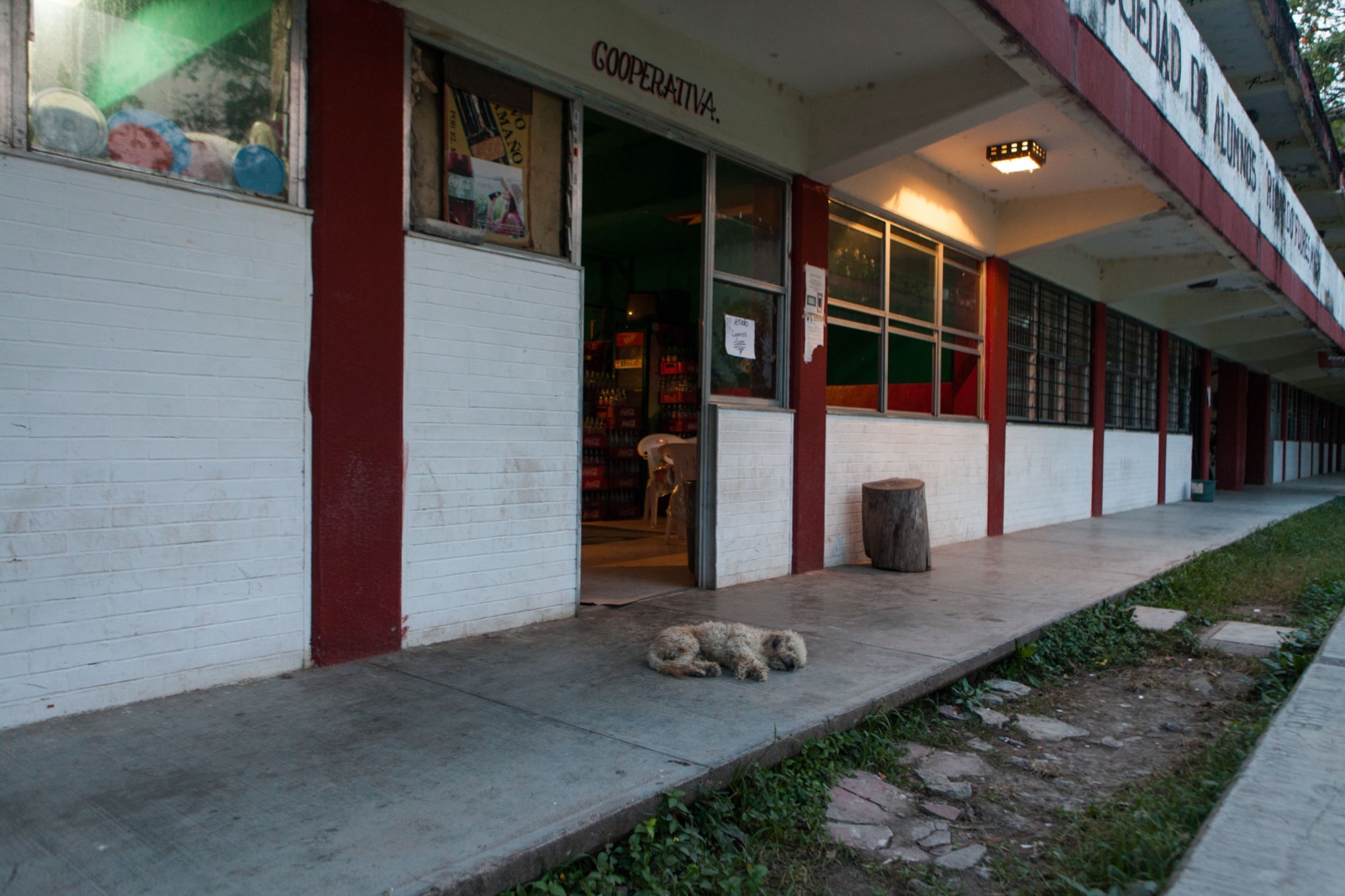  The school cooperative shop at dusk, where certain goods are sold.Â //Â La cooperativa de la escuela en el atardecer, adonde ciertos productos son vendidos.Â 