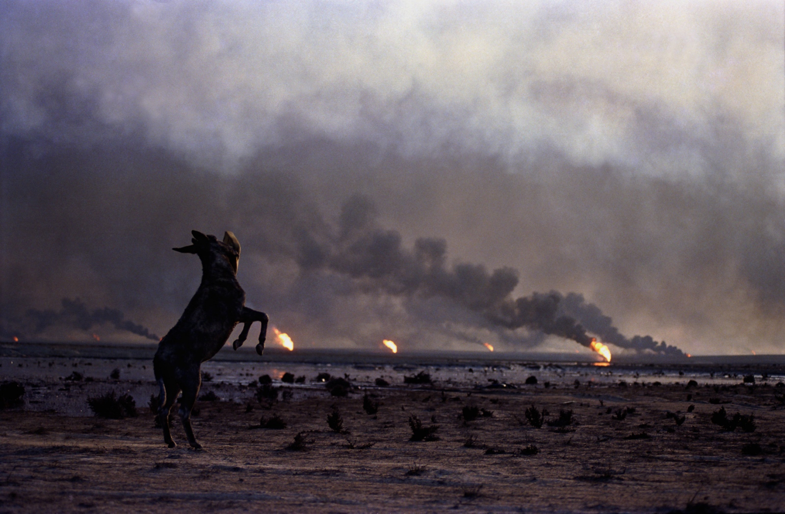 Oil fires set by retreating Iraqi troops raged throughout Kuwait at the end of the Gulf War in 1991. In the al-Burgan oil fields just south of...