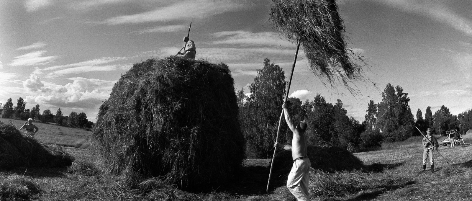 Russia - The Village of Anufrievo - The Rogov clan builds a haystack. The cold and rain in...