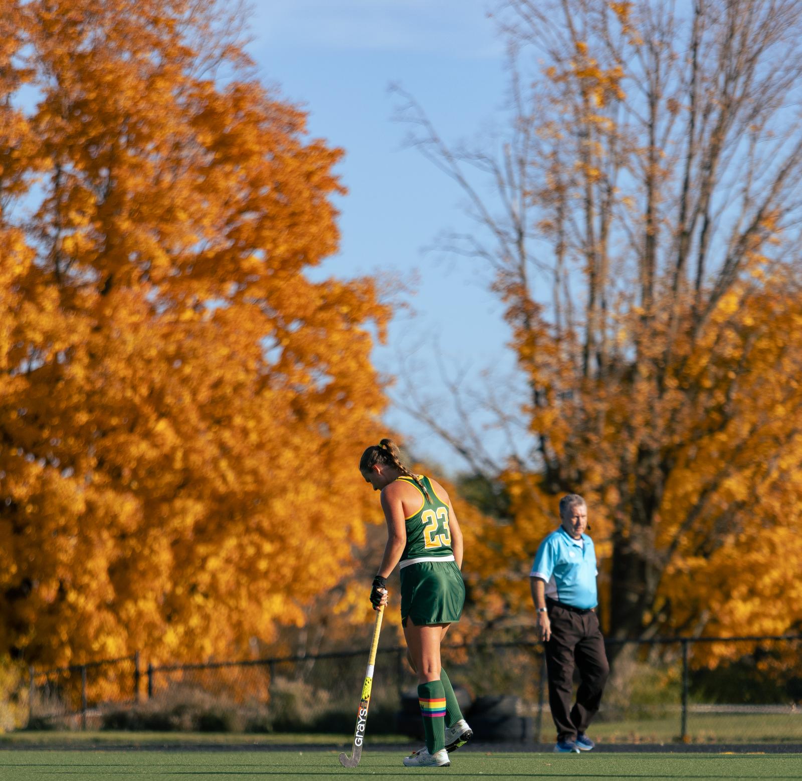 Image from Fall -   