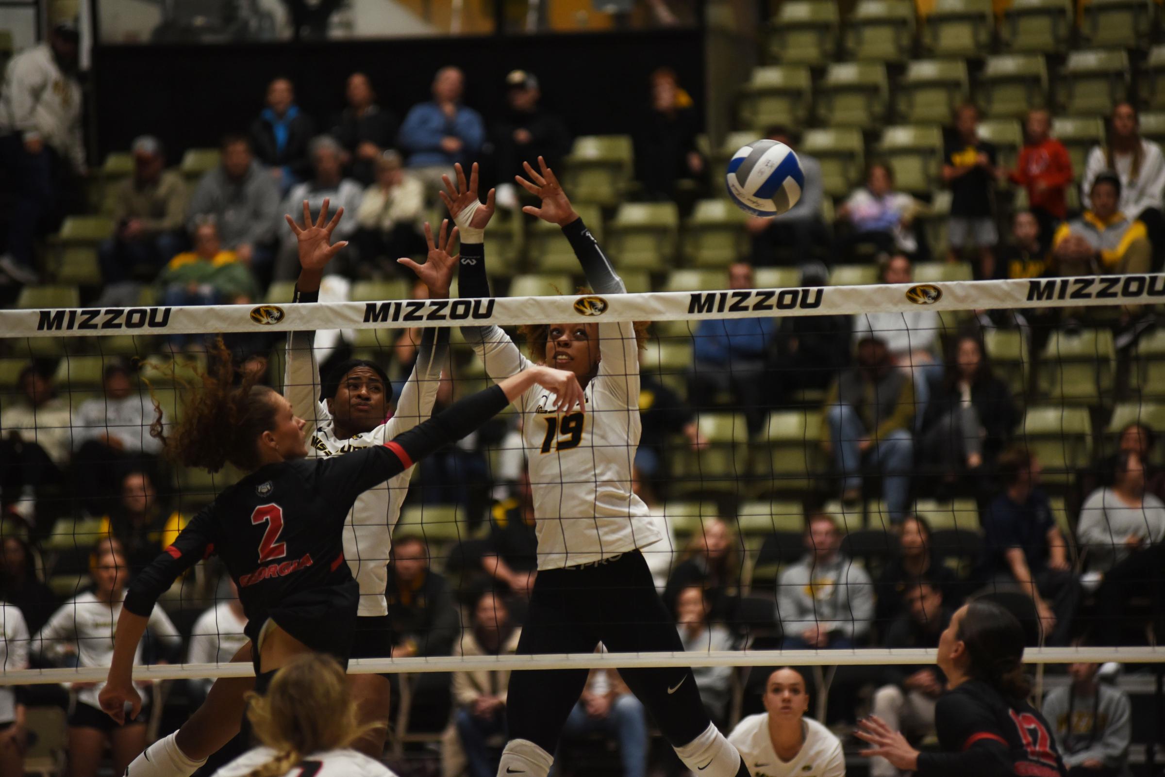 sports - Mizzou volleyball plays Georgia on Wednesday, Nov. 6,...
