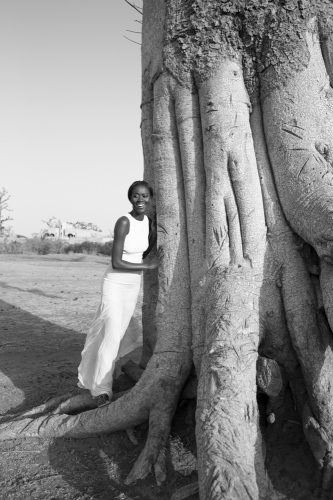 baobab dream - 