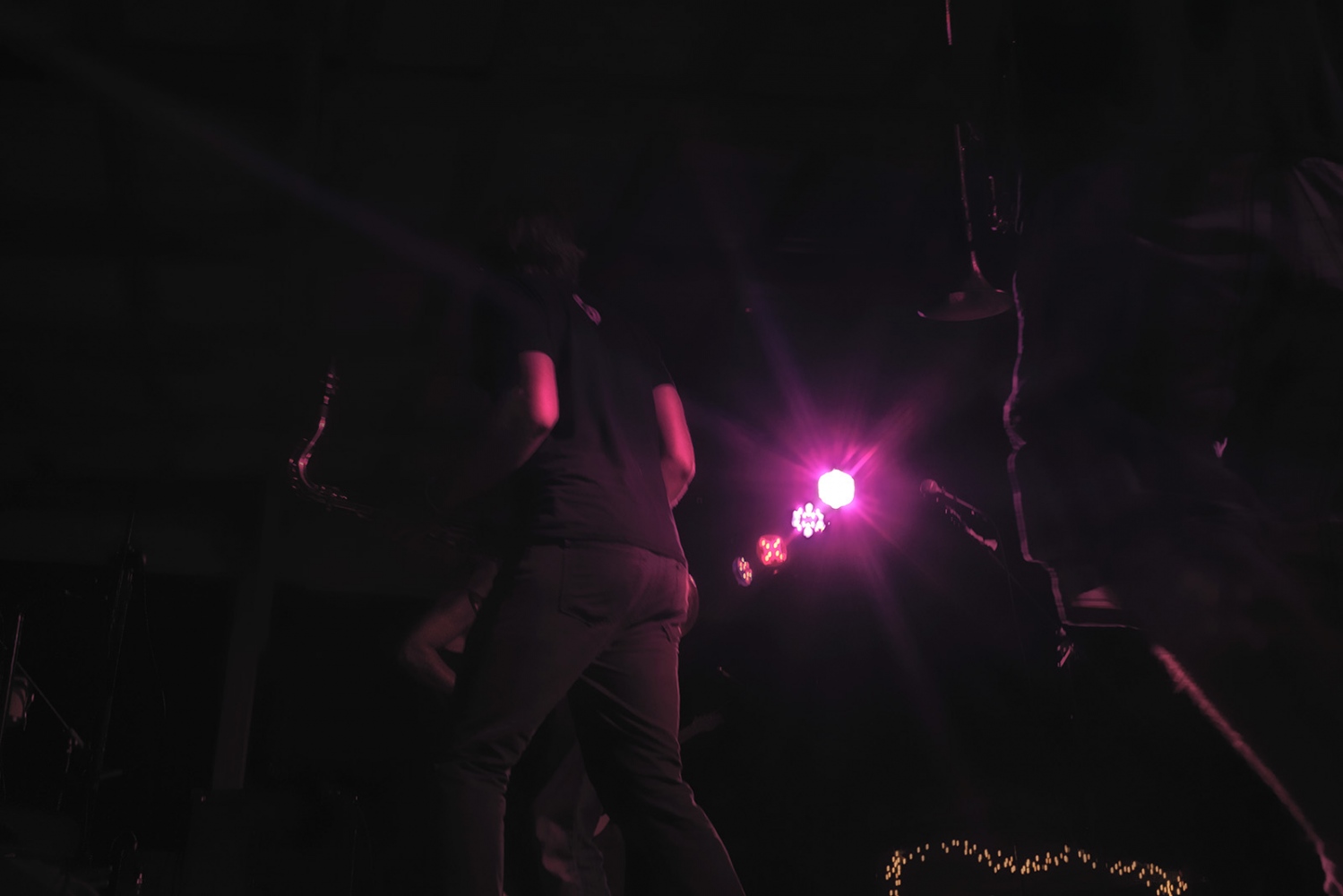Art and Documentary Photography - Loading michael-webster-beesonstock02.jpg