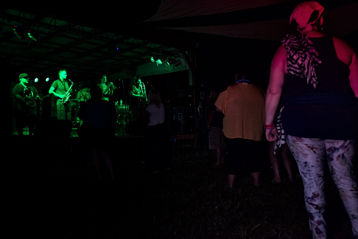 Art and Documentary Photography - Loading michael-webster-beesonstock10.jpg