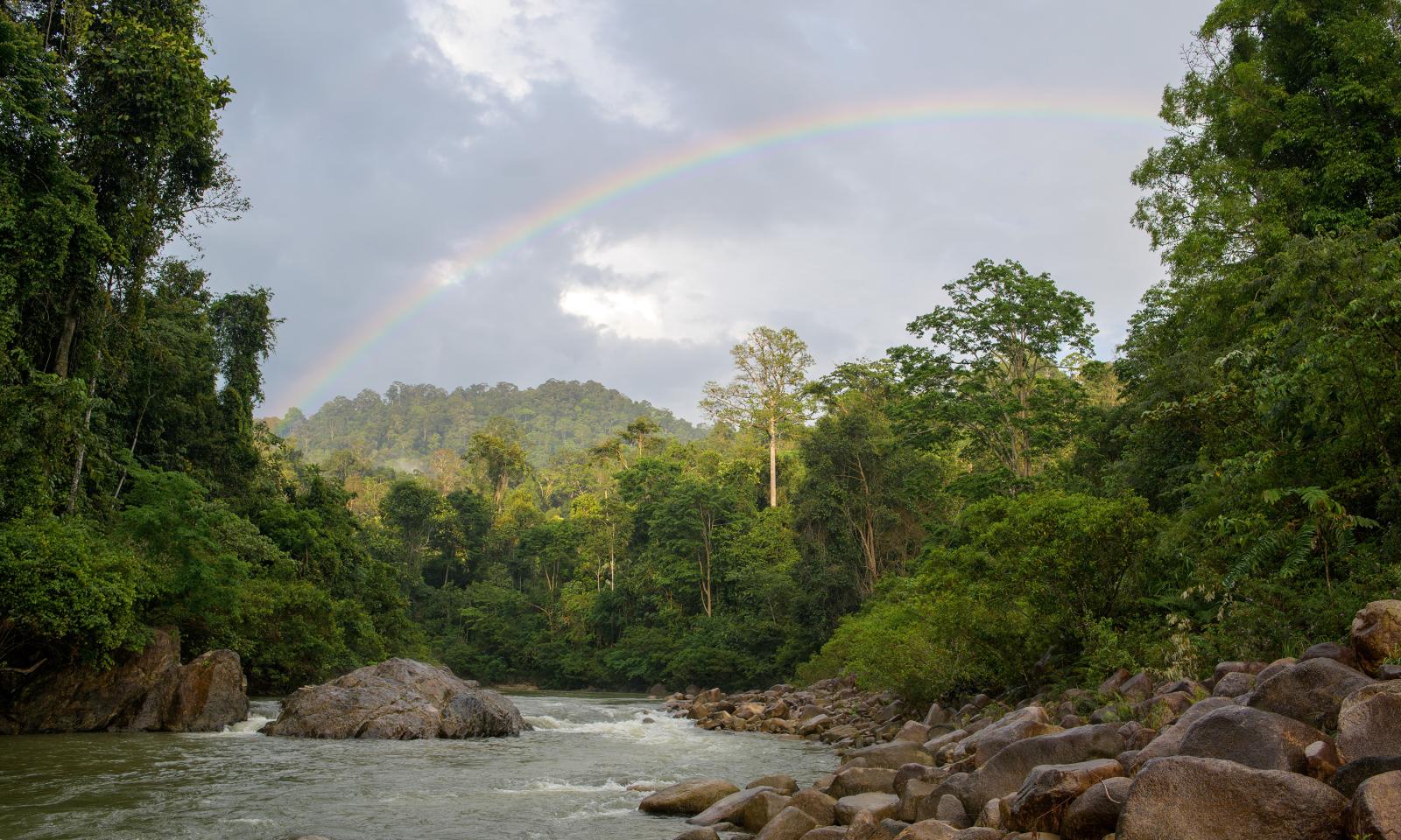 A vibrant rainbow graces the ev..., after a refreshing rainstorm.