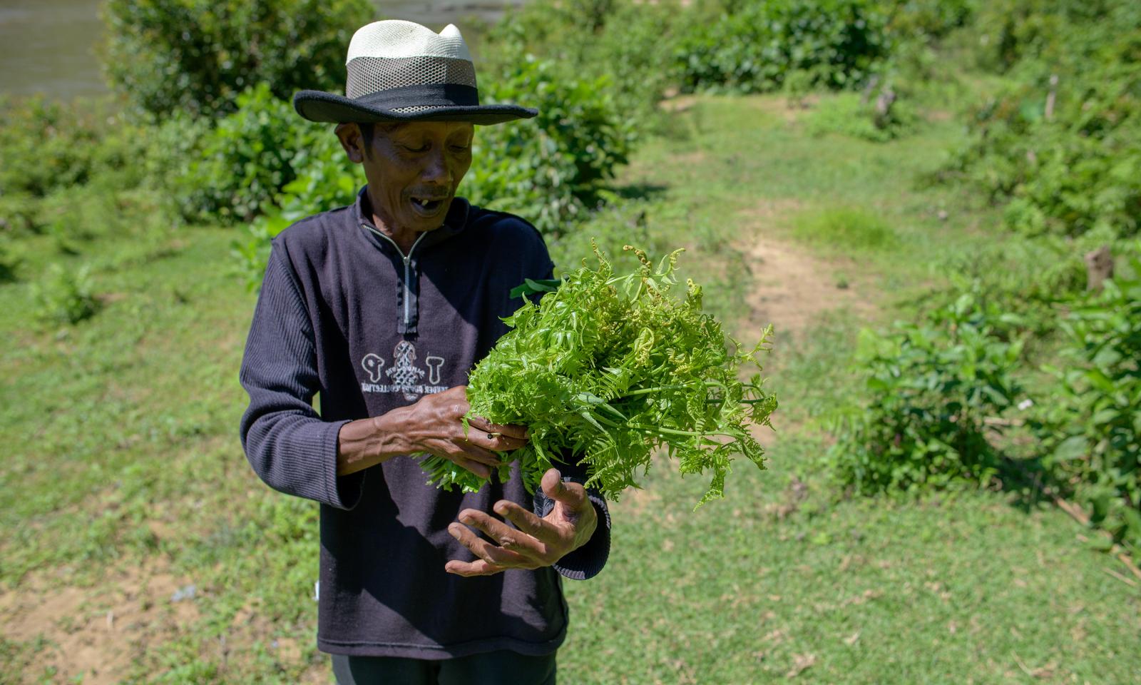  Eco-tourism entrepreneur Hassa...st plants and medicinal herbs. 