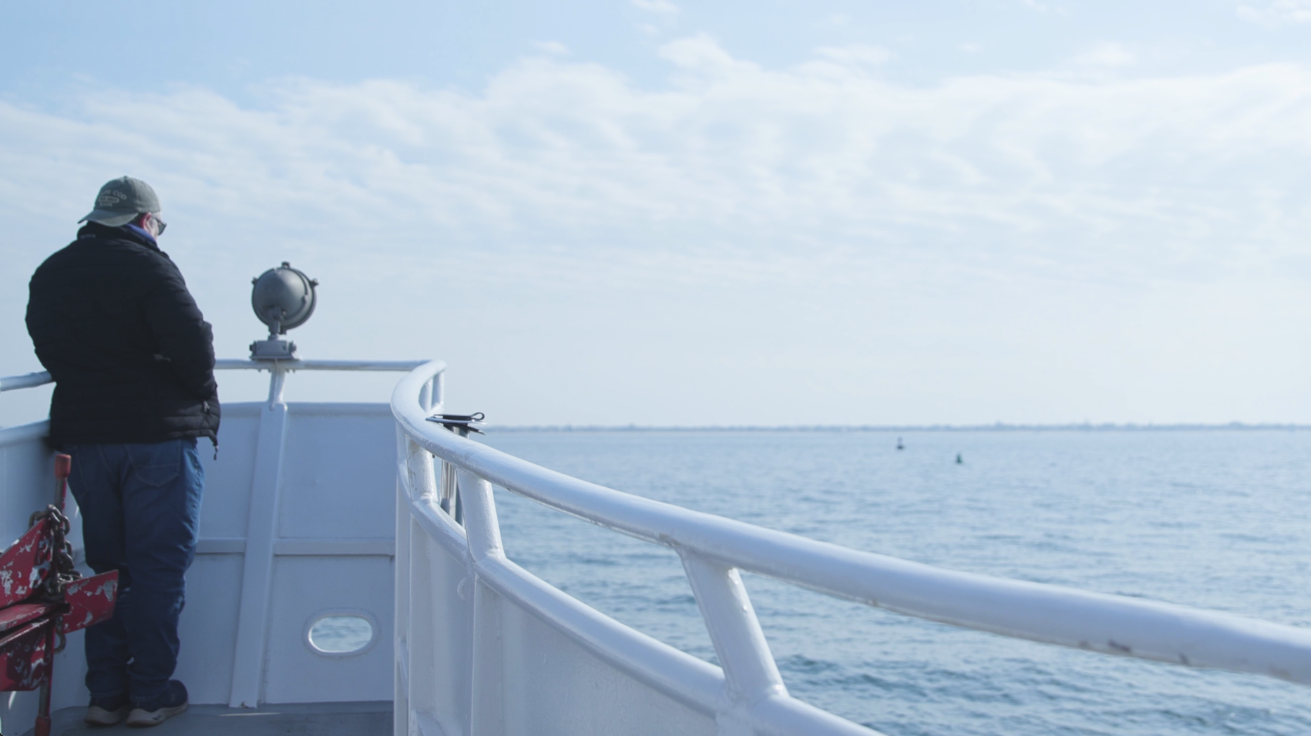The Return of the Humpback -   