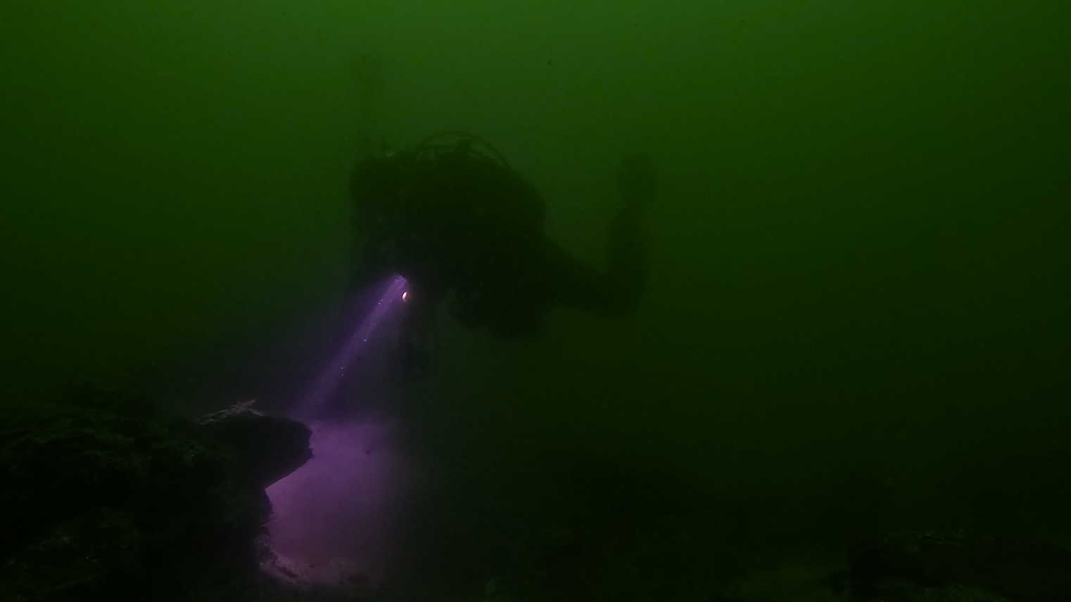 The Dredgers and I -   