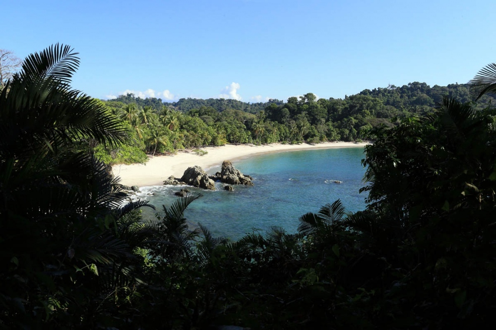 Singles - Manuel Antonio Beach - Costa Rica