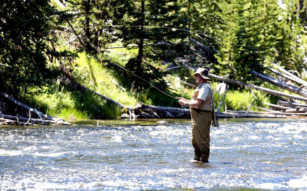  Montana has been a destination for its world-class trout fisheries since the 1930â€™s. Fly fishing for several species of native and introduced trout in rivers and lakes is popular for both residents and tourists throughout the state. 