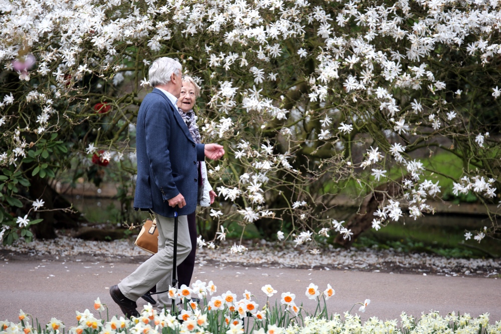  An elderly couple enjoy a afternoon walk at the Keukenhof flower garden in South Holland in the small town of Lisse, south of Haarlem and southwest of Amsterdam. 