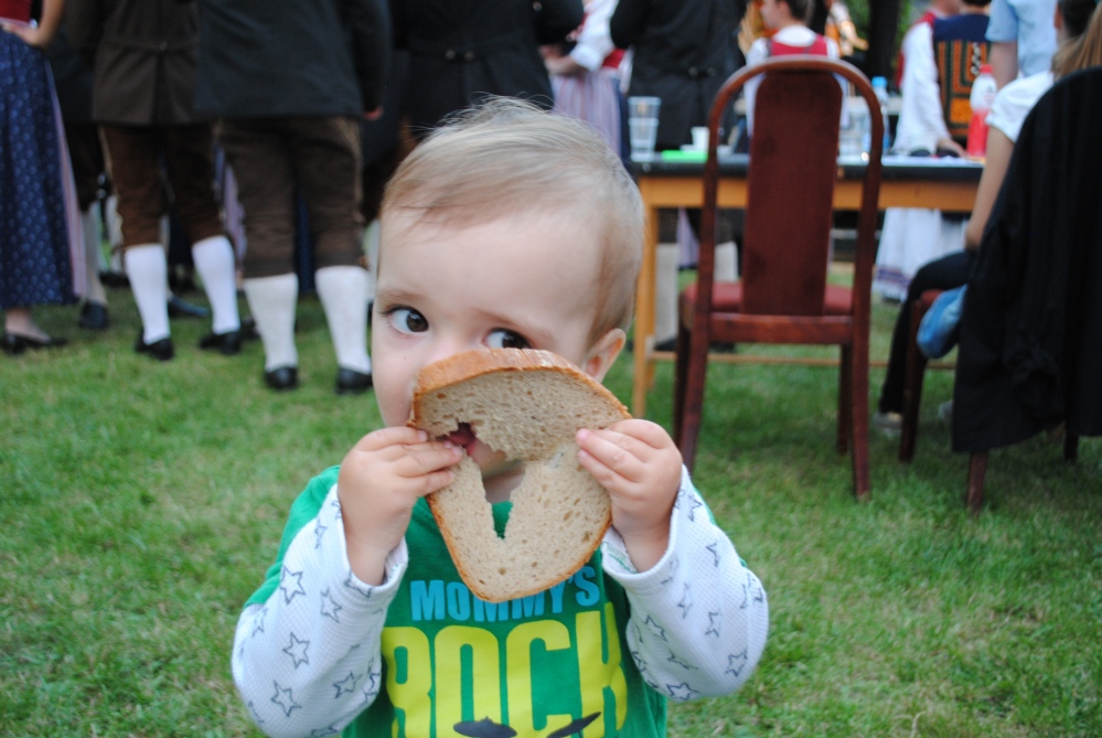 Photography image - Loading DSC_0355.JPG