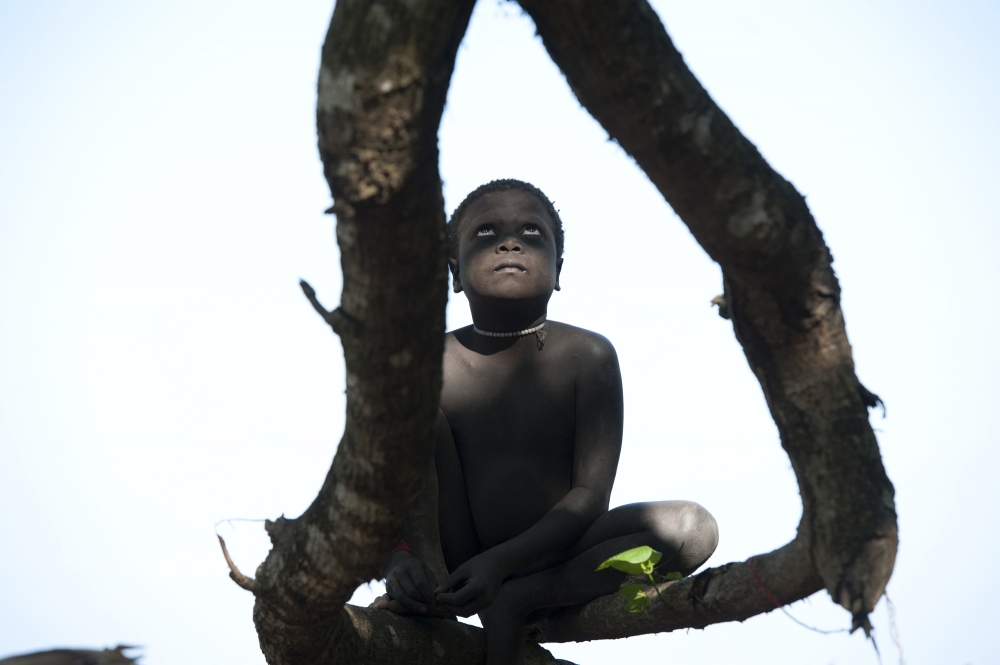  India. Andaman Islands. The Jarawa chronicles. Teonay in a tree. 