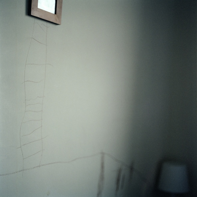 Untitled from the series Domestic Drift (2010)