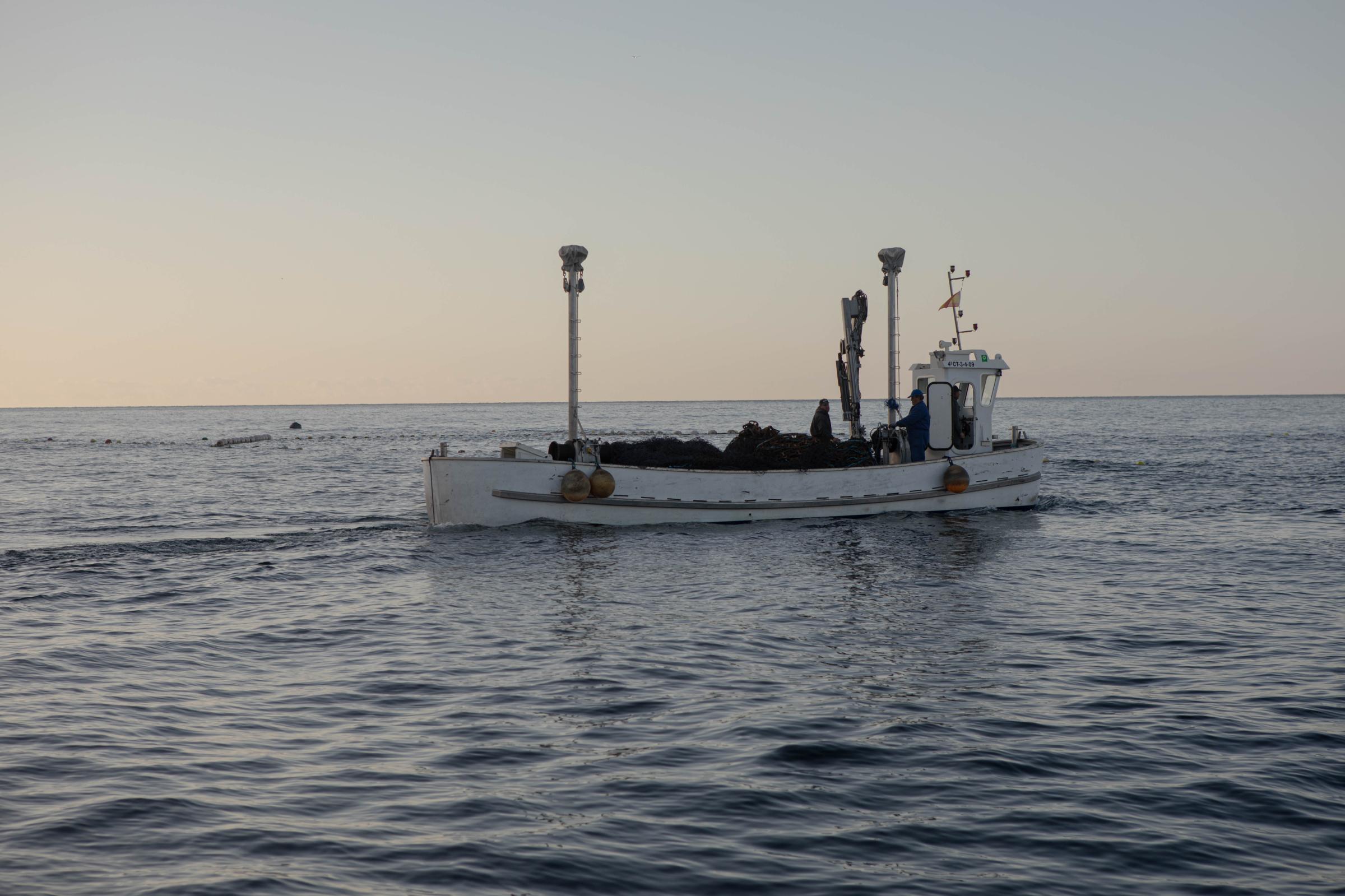 Last Almadraba of the Mediterranean - 