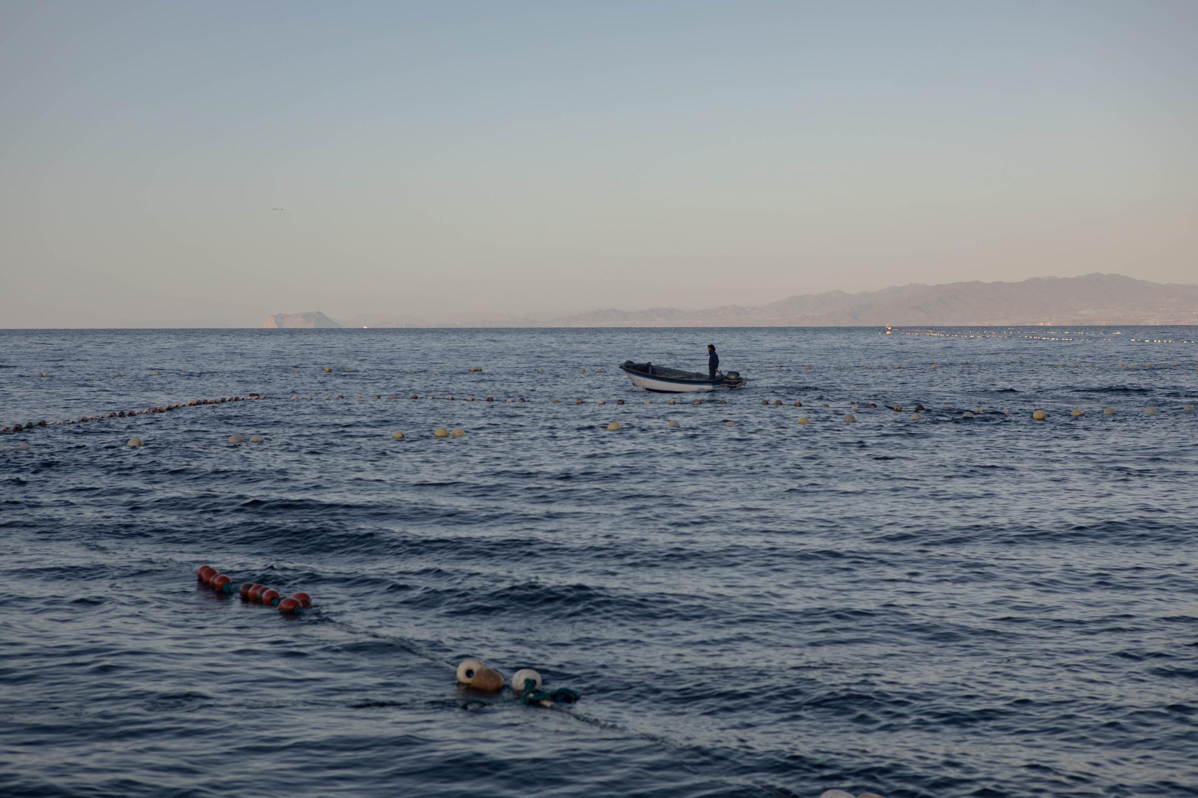 Last Almadraba of the Mediterranean - 
