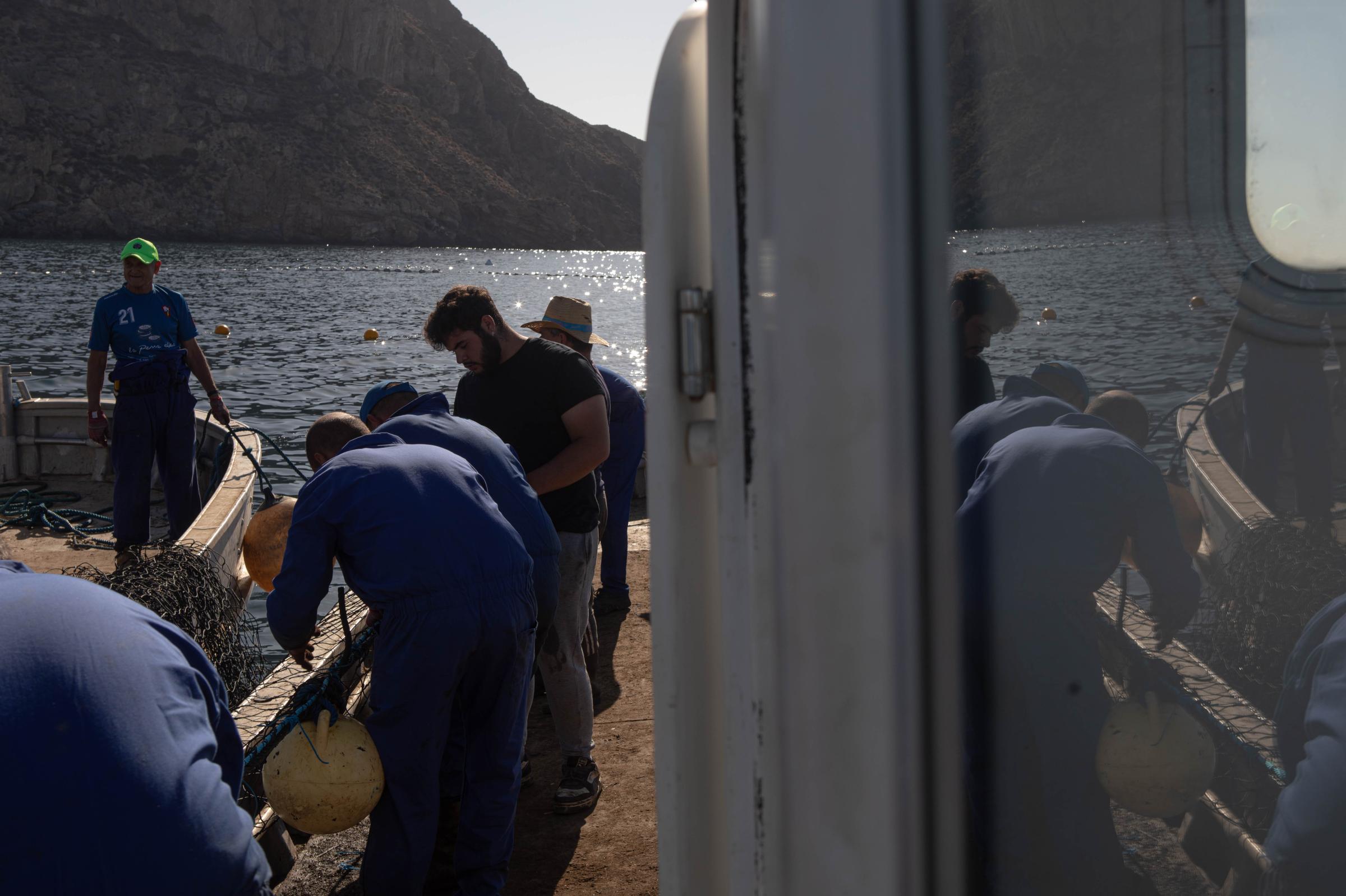 Last Almadraba of the Mediterranean - 
