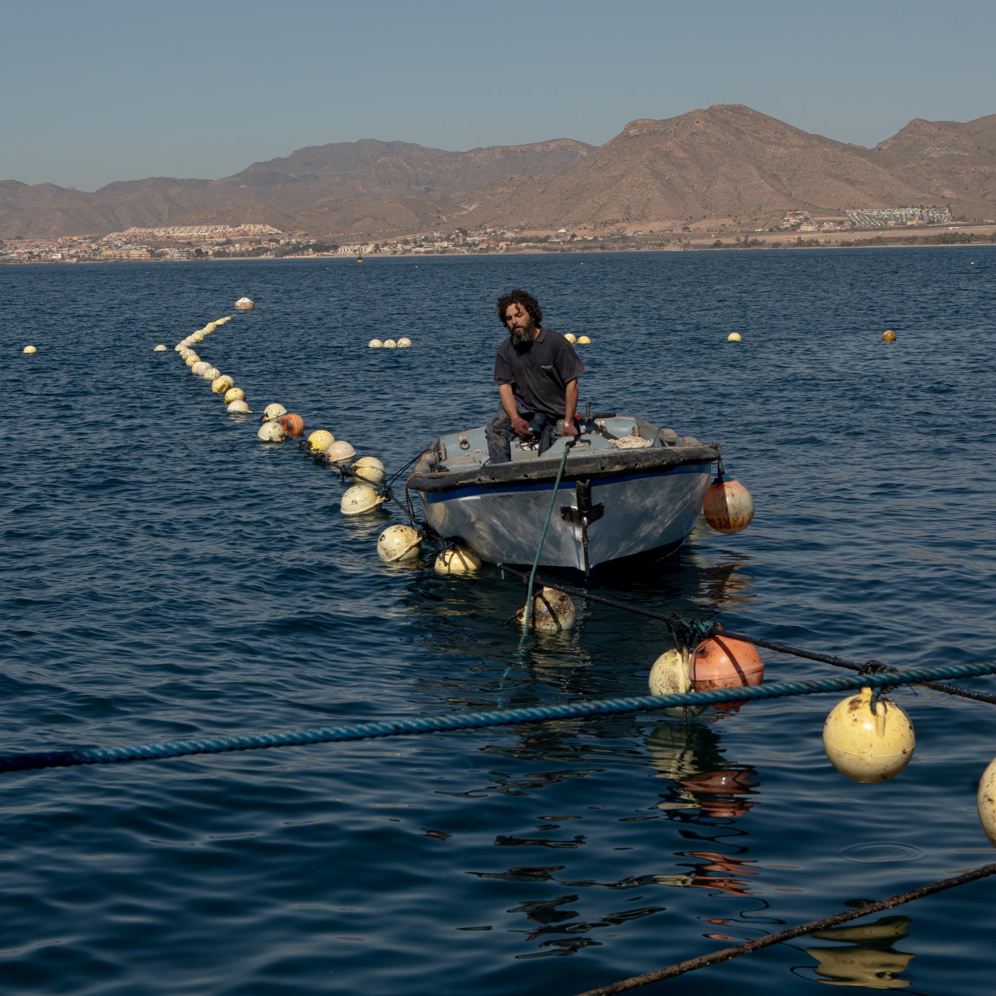 Last Almadraba of the Mediterranean - 