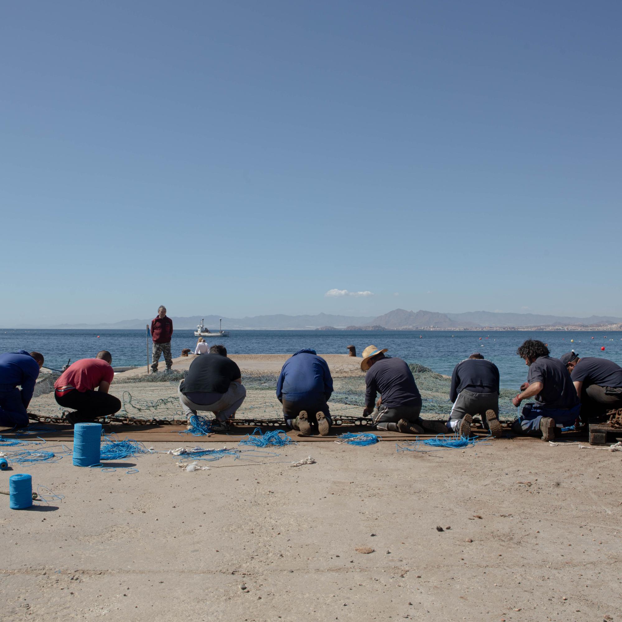Last Almadraba of the Mediterranean - 