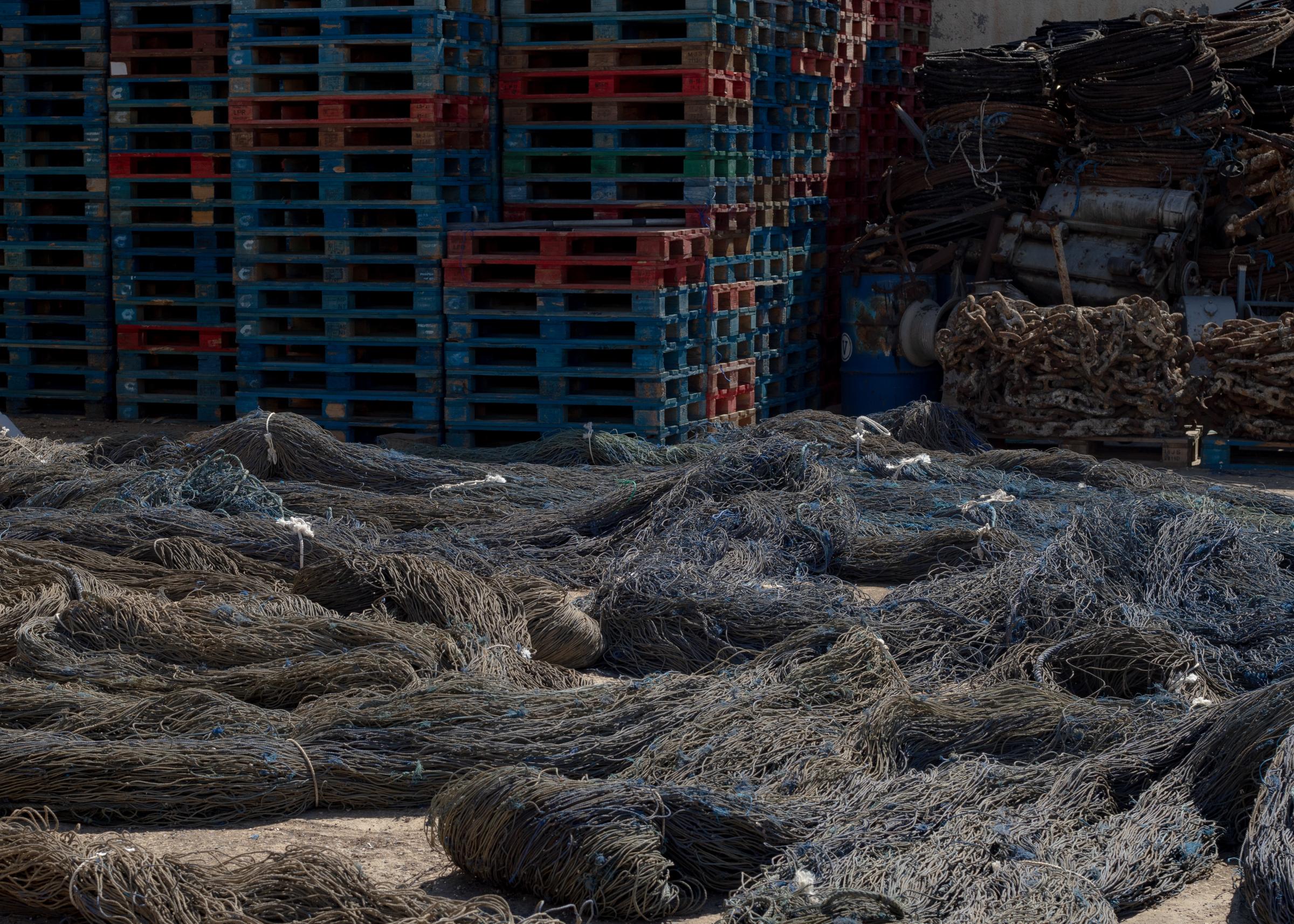 Last Almadraba of the Mediterranean - 