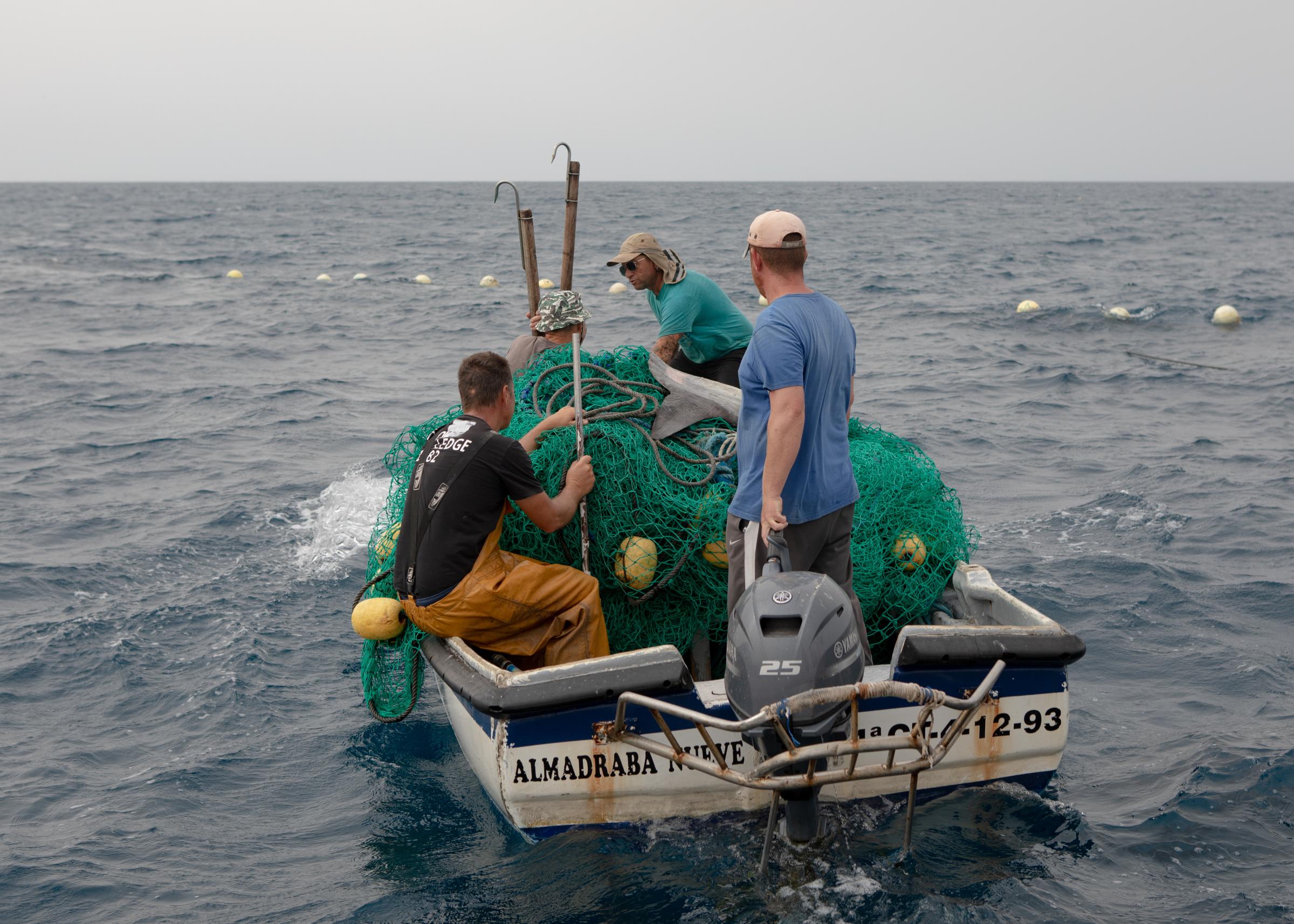 Last Almadraba of the Mediterranean - 