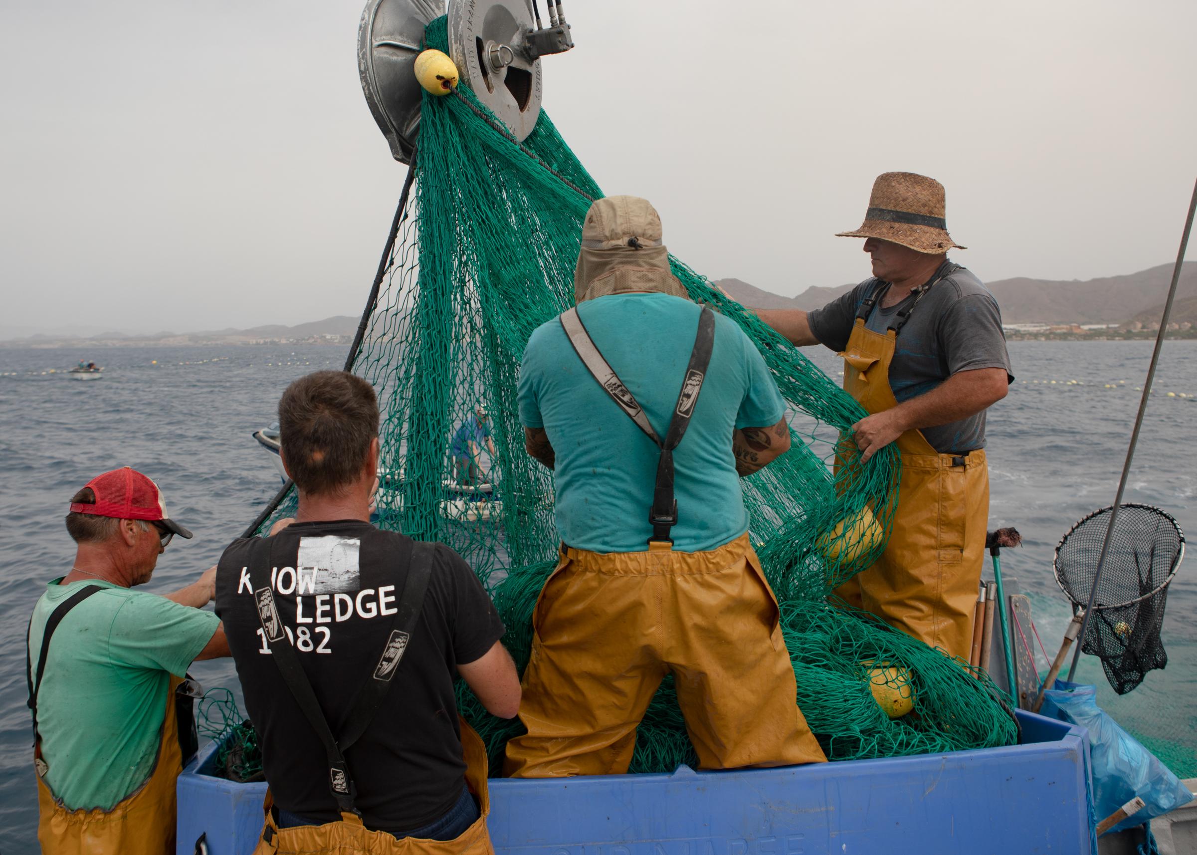 Last Almadraba of the Mediterranean - 