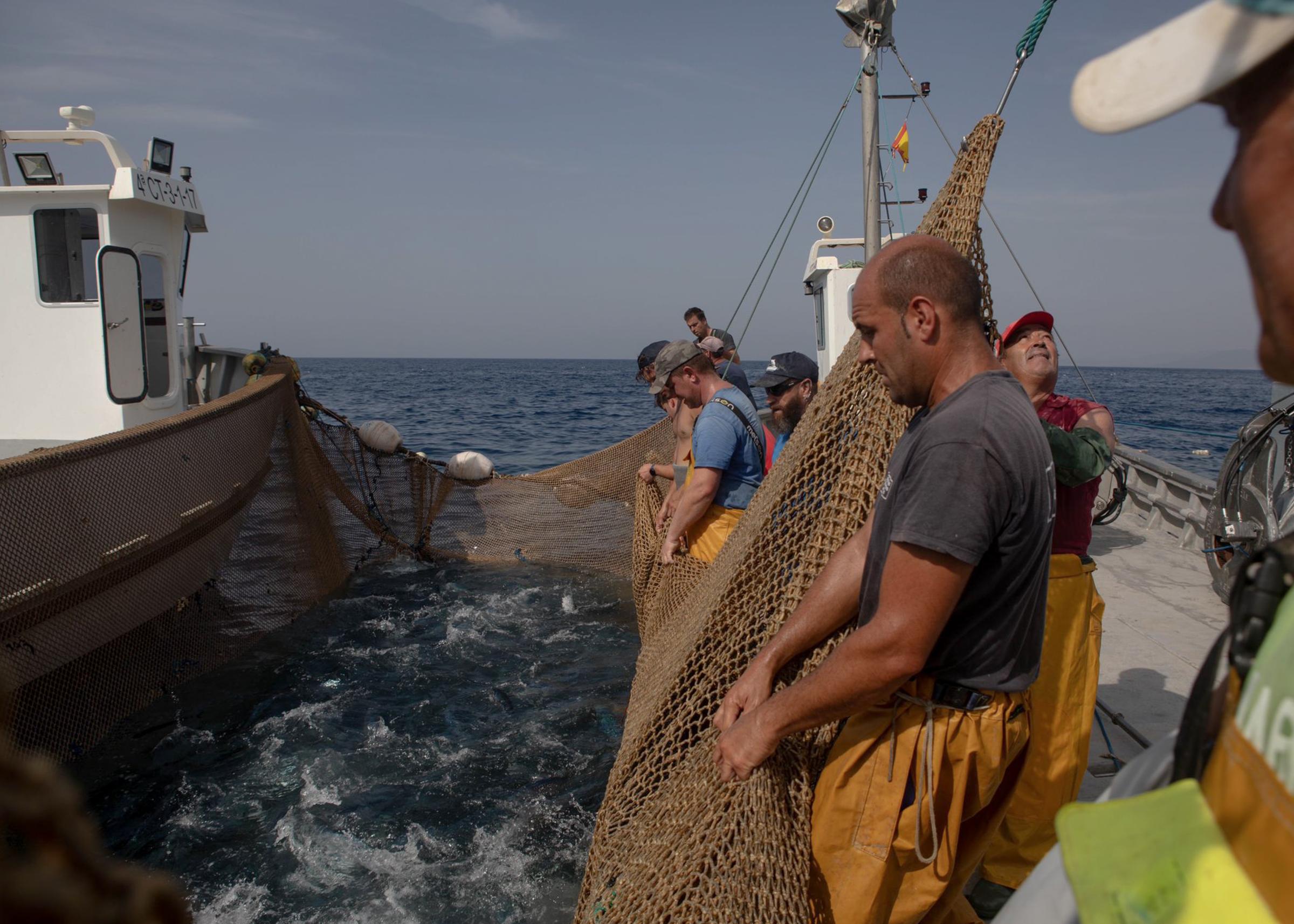 Last Almadraba of the Mediterranean - 
