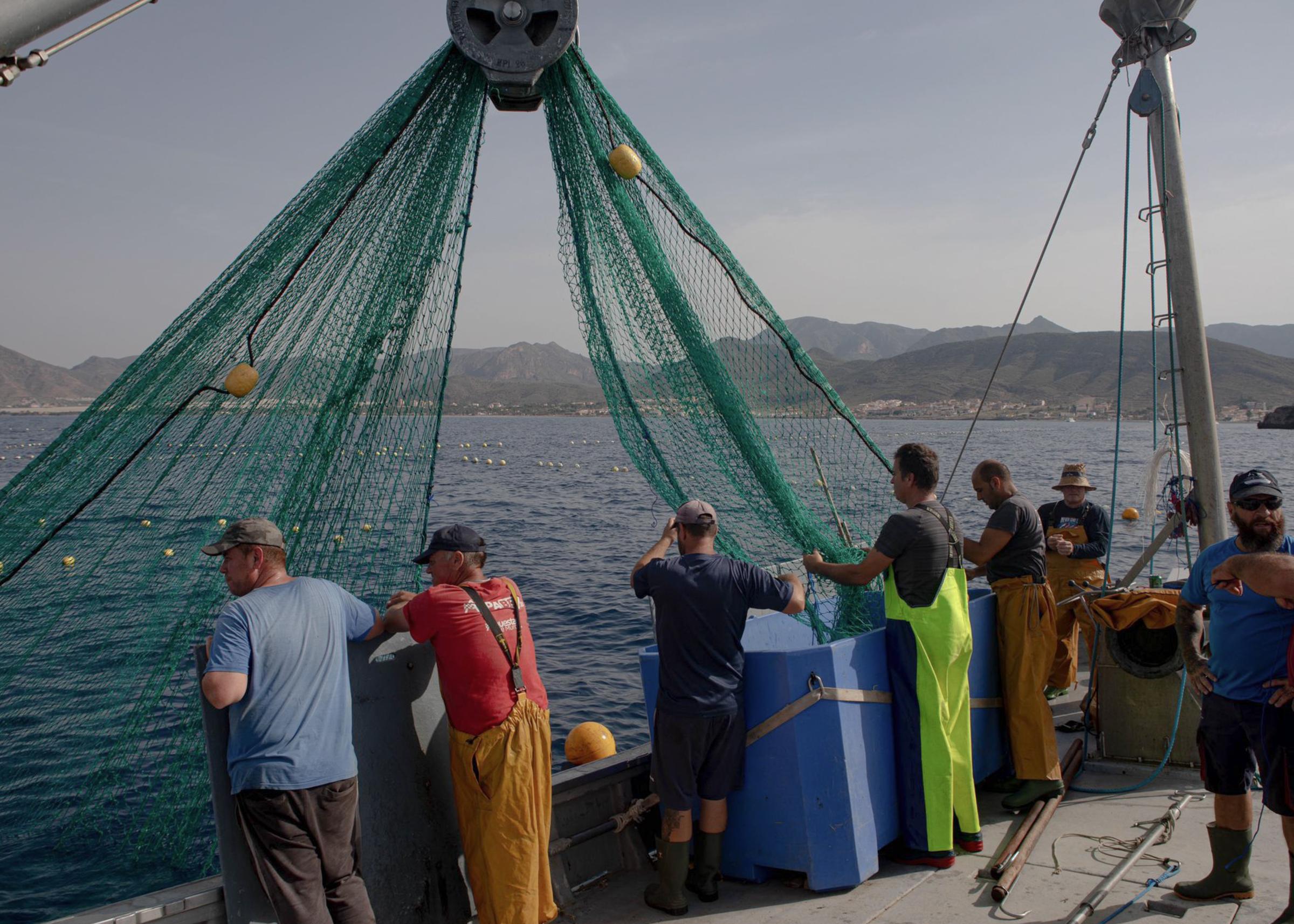 Last Almadraba of the Mediterranean - 