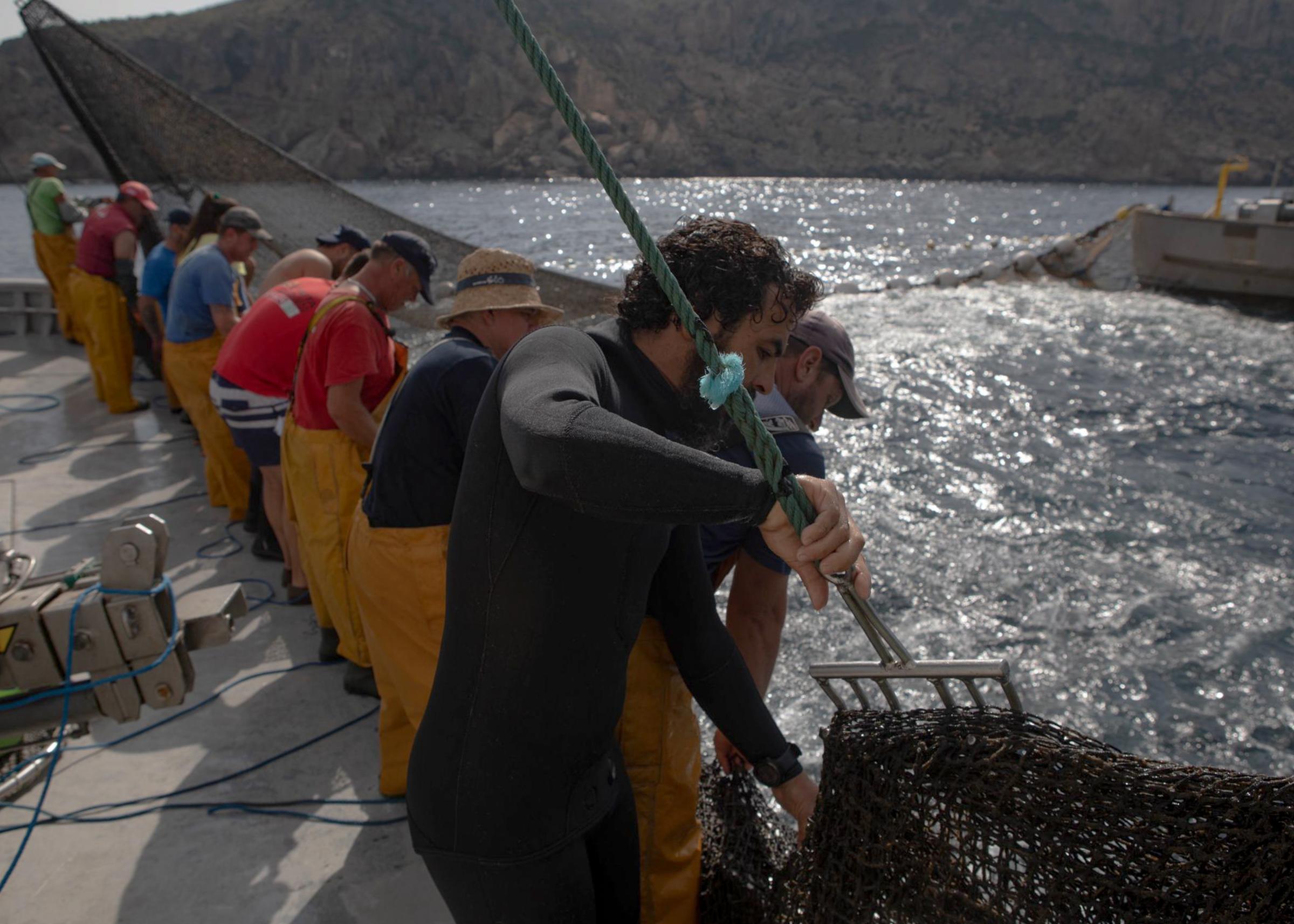Last Almadraba of the Mediterranean - 