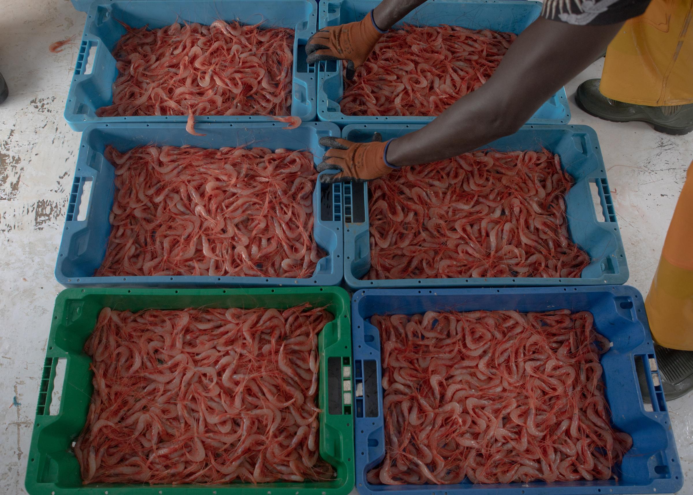 Senegalese fishermen - 