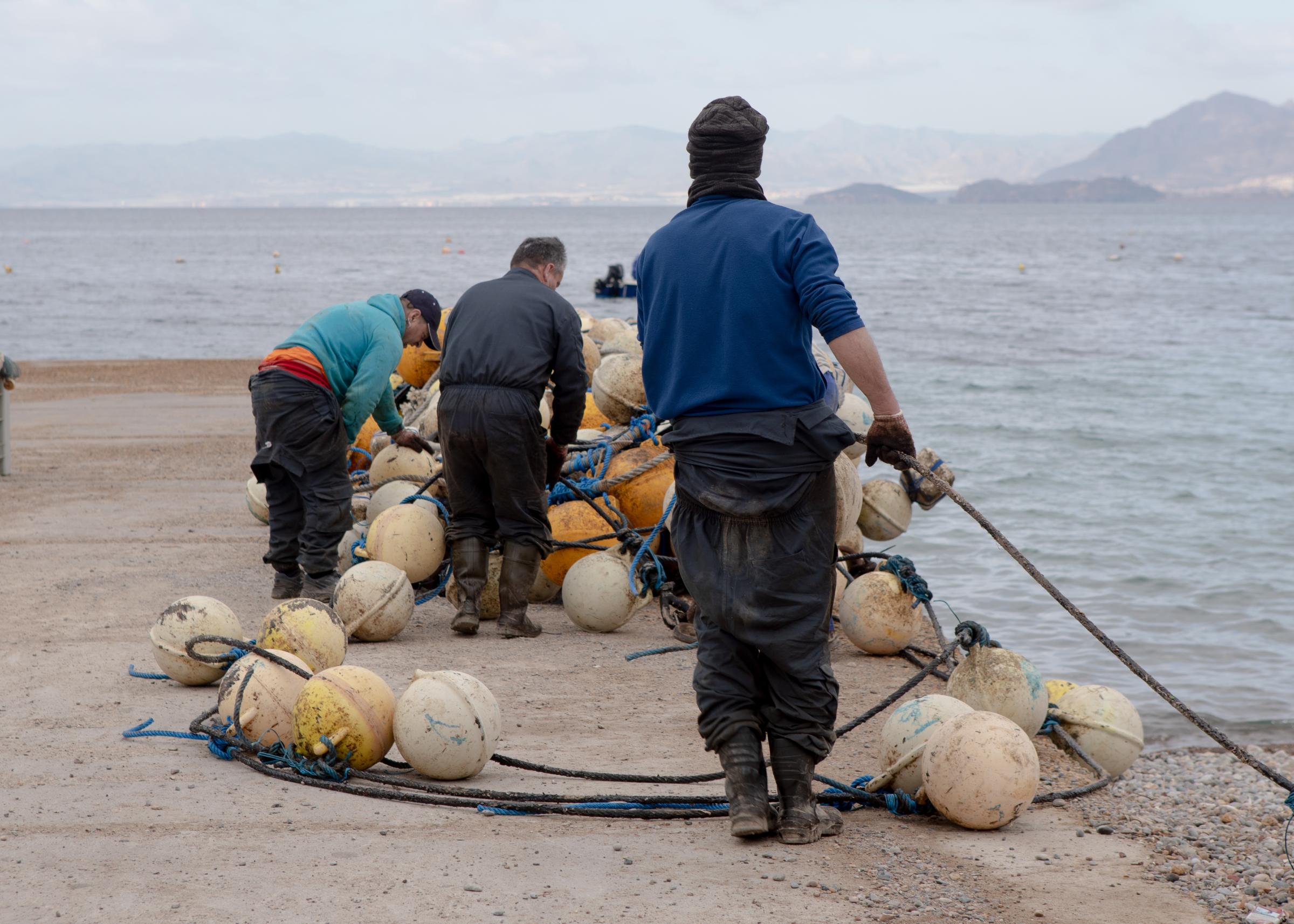Last Almadraba of the Mediterranean - 