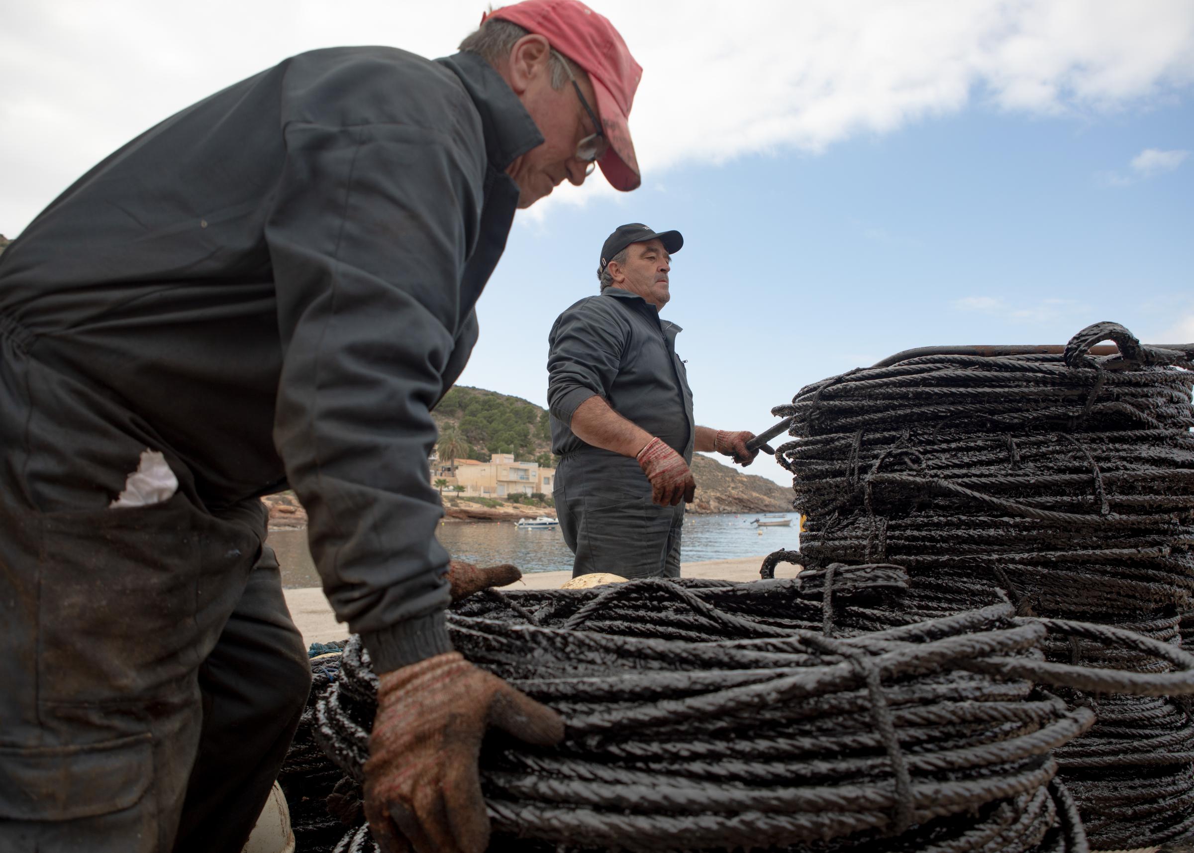 Last Almadraba of the Mediterranean - 