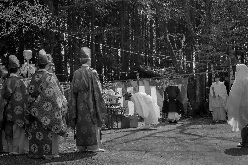 Japanese Festival