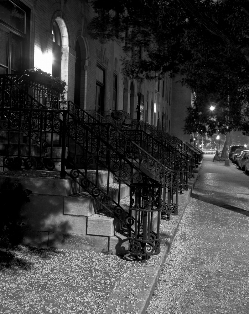 Harlem Nocturnal - ...