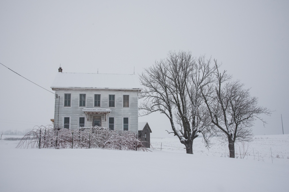 Home/Land: In Snow